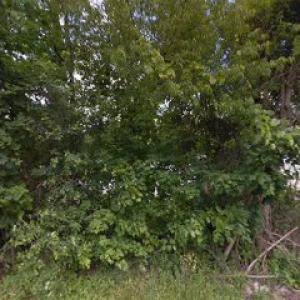 Webb's Septic Tank Cleaning & Maintenance