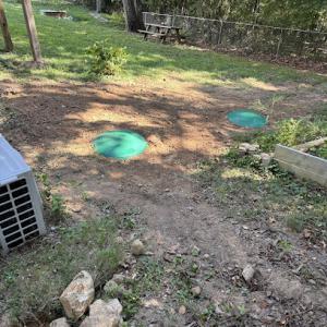 Same Day Septic
