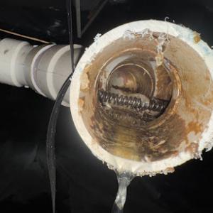 Plumbing Detectives