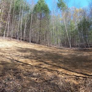 Quality Land Management & Septic Service