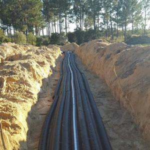 Bob's Septic Tank