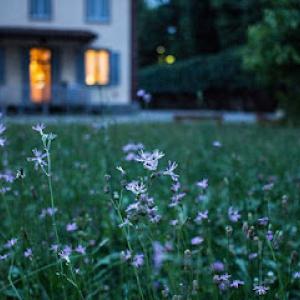 Lilac City Septic Services