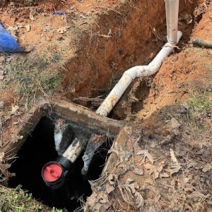 Lee's Septic