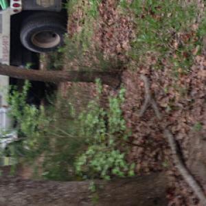 Country Septic Service