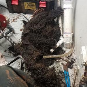 Guy's Sewer & Drain