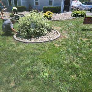 C&M excavating ,property services ,septics & landscaping