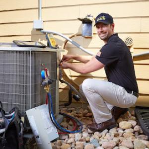Lion Home Service