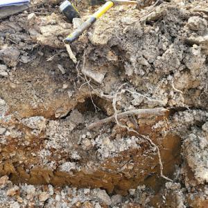MB Soil & Septic Consulting