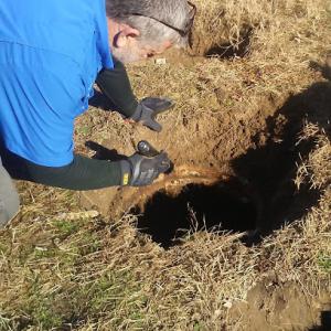 Chesapeake Inspection Services