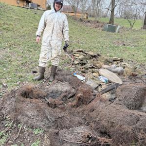 All Repair Septic Service
