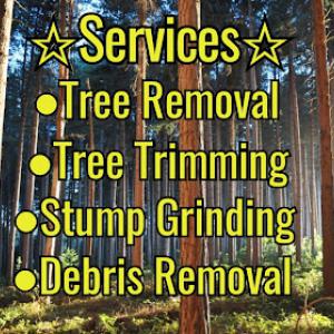 Right Choice Stump Grinding, Tree Service & Construction