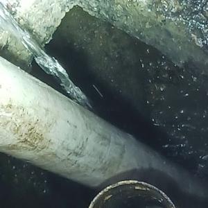 Ray's Septic Pumping