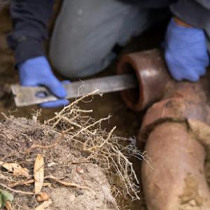 Bob's Drain Cleaning & Handyman Service