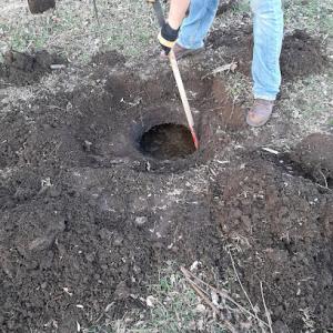 Southwest Septic Pumping