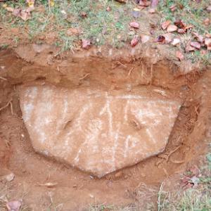 You Dig It! Septic & Cajun Royal Flush-Restrooms