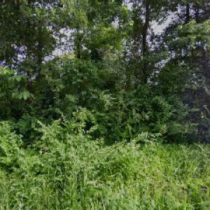 ABR Septic Service