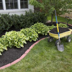 Wildcat Lawn Care & Tractor Service