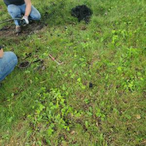 Kelley's Septic Tank & Sewer Service