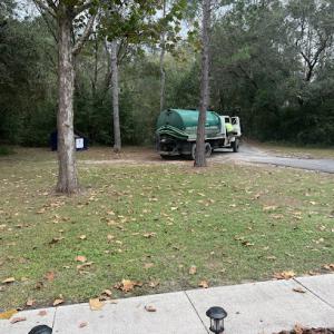 Shelley's Environmental