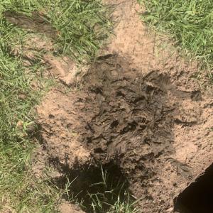All County Septic