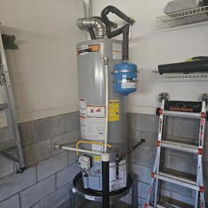 The Rooter Dude