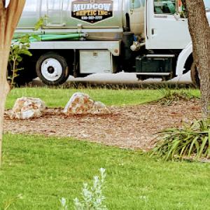 Mudcow Septic