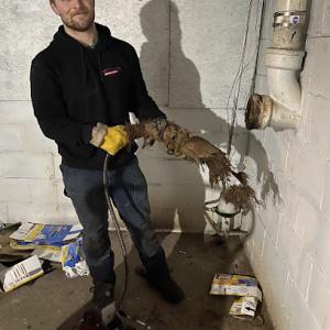 Drain Master Sewer & Drain Cleaning