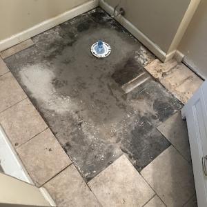 Mr. Rooter Plumbing of Champaign
