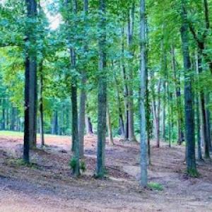 LKG Forestry Mulching