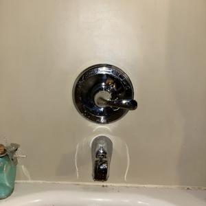 Gilded Plumbing