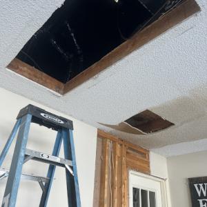 Hunter commercial & residential maintenance