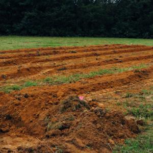 Leadvale Septic Design