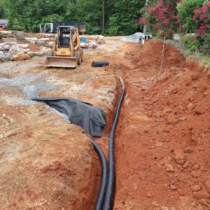 Palmetto upstate services