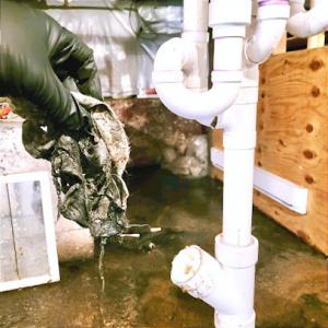 Champion Plumbing Sewer & Drain