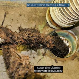 1st Priority Drain Cleaning & More