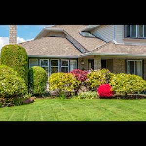 Minnesota Landscaping & Habitat