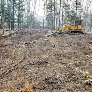 A&D Land Services