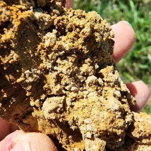 East TN Soil Mapping
