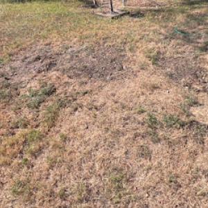 All Around Septic & Dirt Work