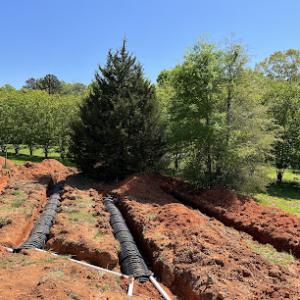 Wilson's Earthworks