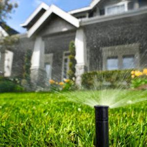 Randy's Septic Services
