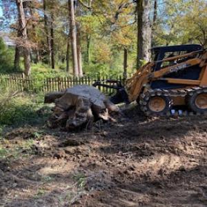 Little Mo's Excavating