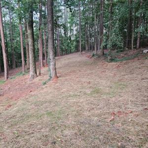 A&B septic services