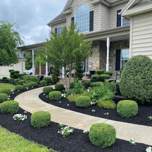 HarborScapes Lawn Service & Landscaping