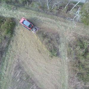Babbs Land Management