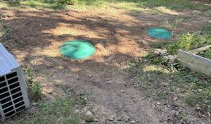 Same Day Septic