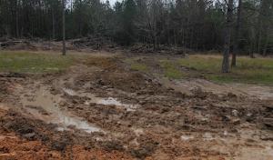 Sun Coast Septic Tank