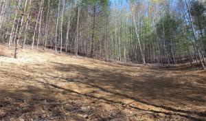 Quality Land Management & Septic Service