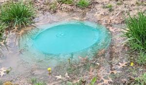 Romo's Septic Cleaning