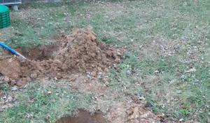 American Septic